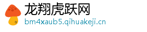 龙翔虎跃网